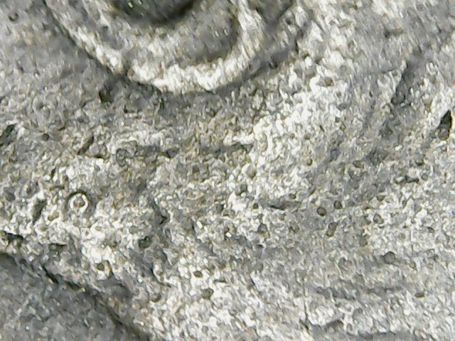 Opinions-Welcome---Is-It-Possible-To-Magnify-Too-Closely?-1985-P-Dime