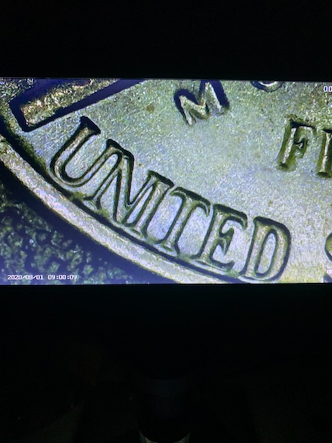 1979-Jefferson-Nickel-D-DDR?-Opinion-Are-Needed