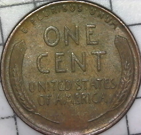 Cleaned-Or-Restored?