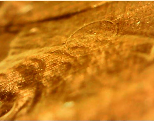 1988-Penny-Circle-Anomaly?