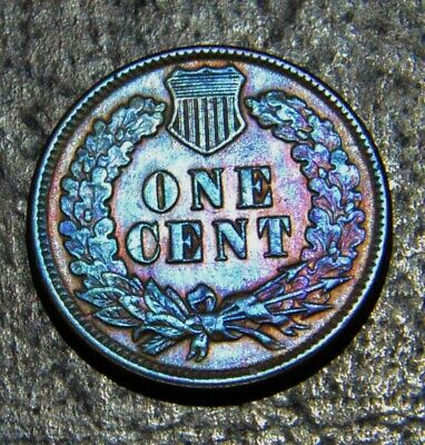 1893-Indian-Head-Cent