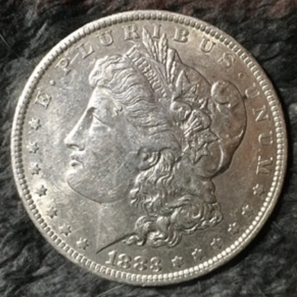1883-Silver-Dollar-Needs-Grading