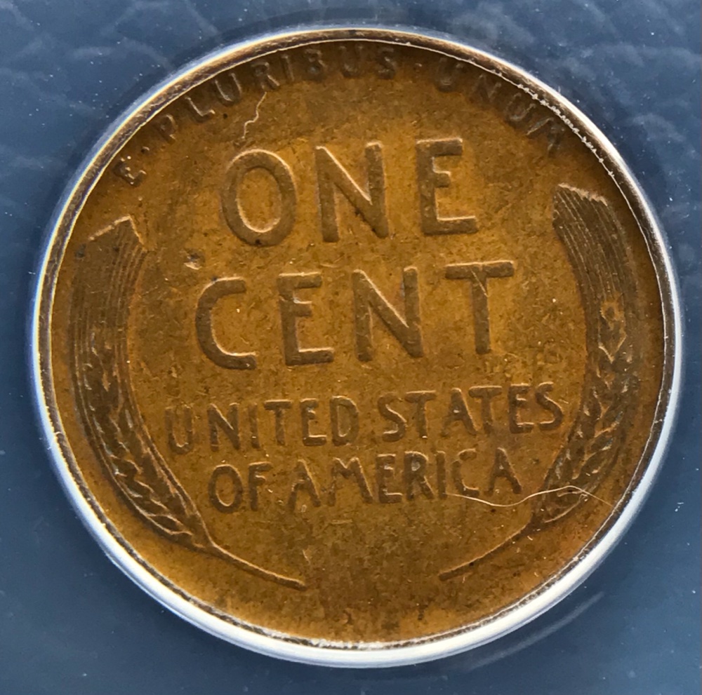 1936-LWC-DDO-FS-101-You-Vs-ANACS