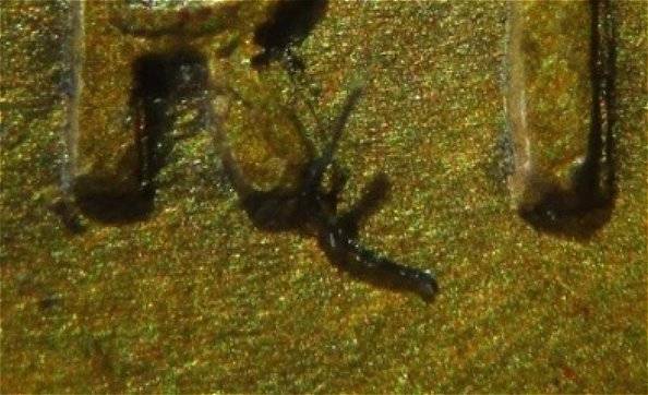 1909-VDB-Cent,-What-Kind-Of-Doubling?