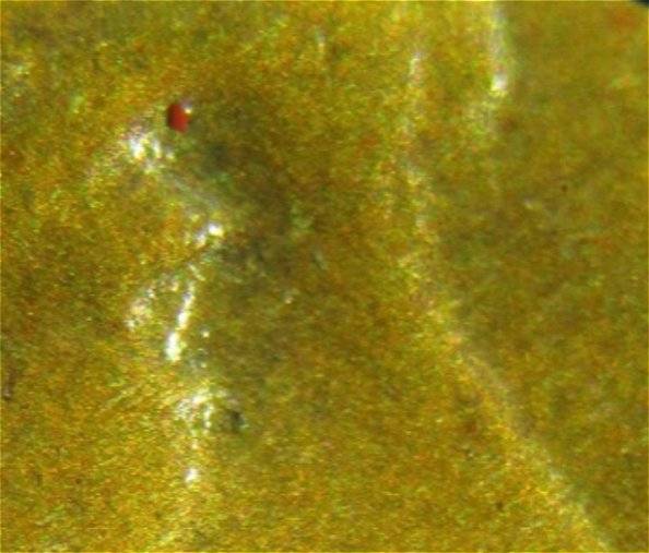 1909-VDB-Cent,-What-Kind-Of-Doubling?
