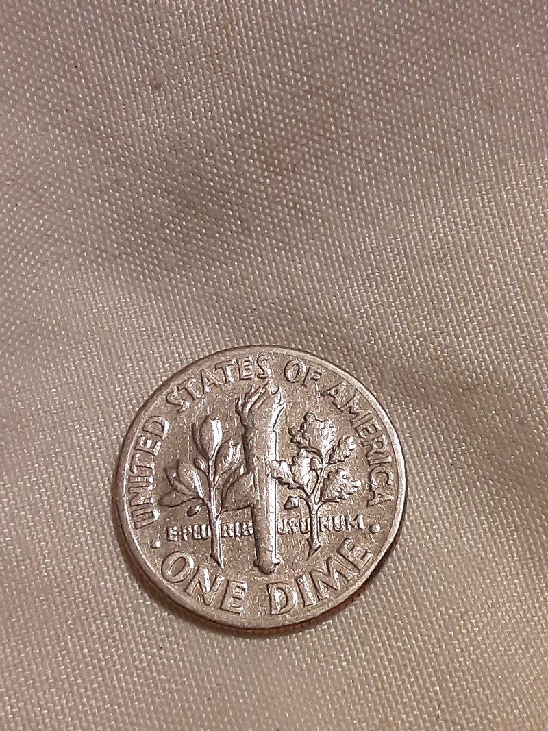 Could-This-Be-A-Rim-Burr-Error-On-A-1974-D-Dime-Or-Just-Post-Mint-Damage?