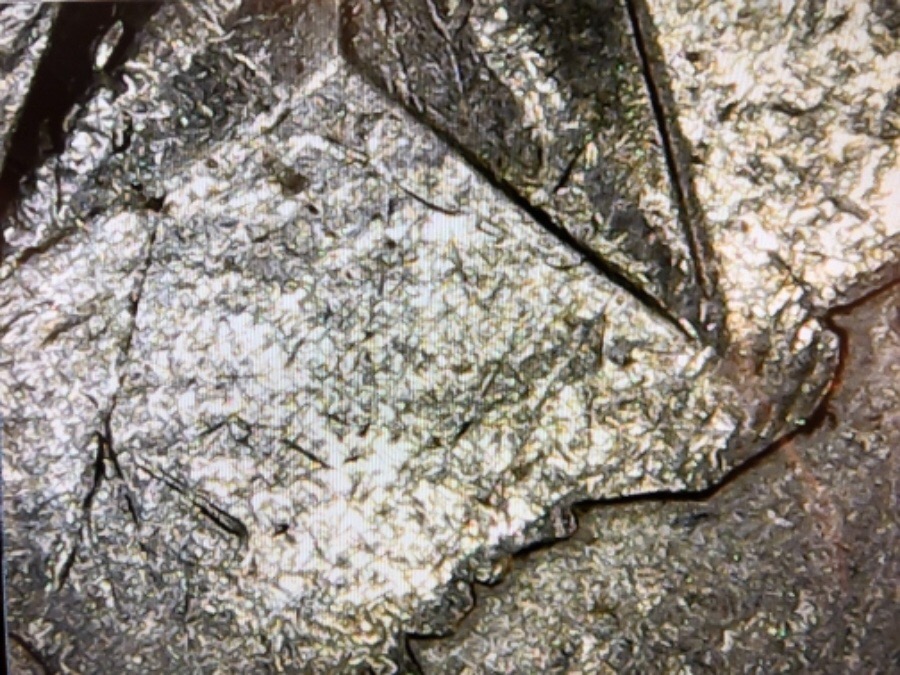 2004-P-Texas-Quarter-Help-With-Die-Break,-Clash,-Or-Strike-Through?