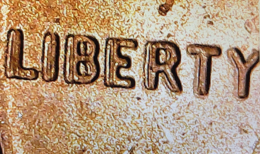 2019-D-Lincoln-Shield-Cent-Help-With-Possible-Doubled-Die