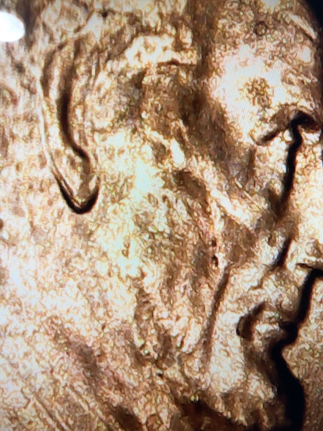 2020-D-Lincoln-Cent-Doubled-Ear?