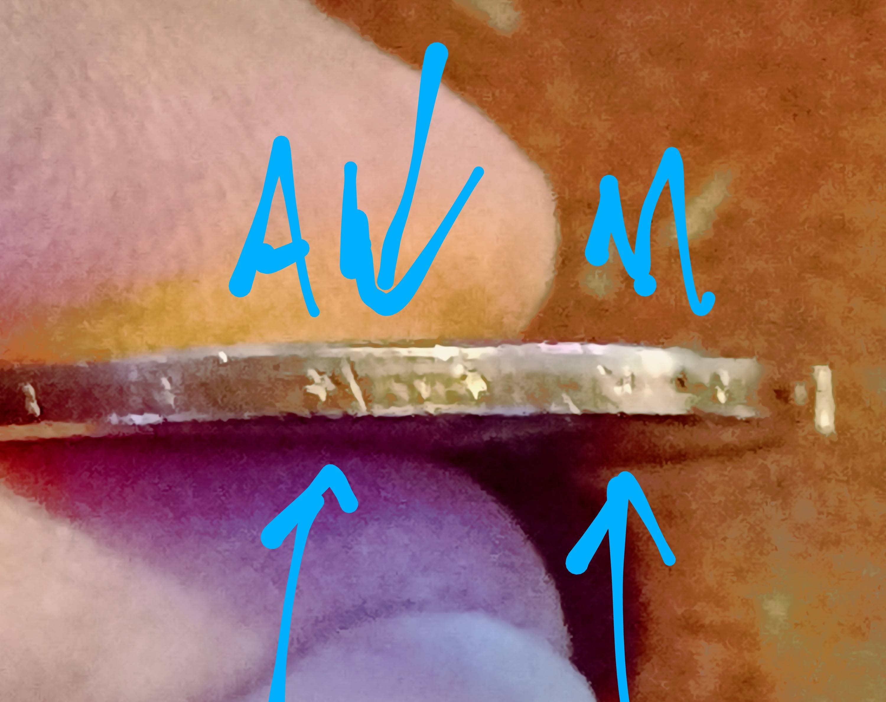 Given-Sacagawea-Coin,-Edge-Issue-2011-D-Dollar