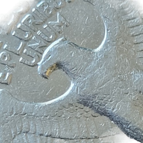 1993-D-Quarter-Horn-On-Eagles-Beak,-Eaglecorn