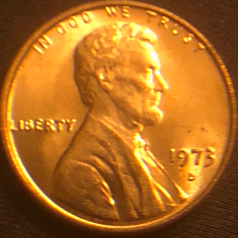 1973-D-LMC-For-Grading-Please