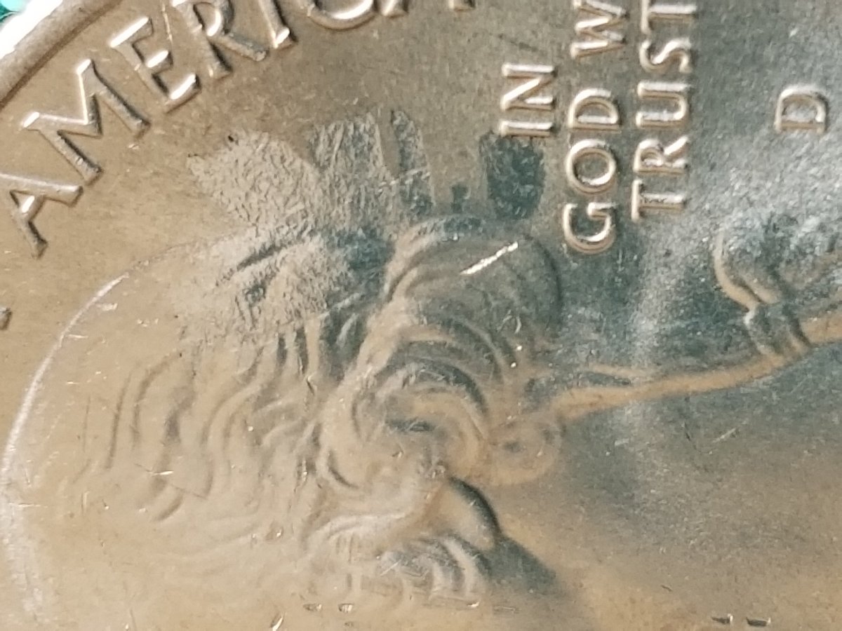2018-D-Washington-Quarter-What's-The-Error?