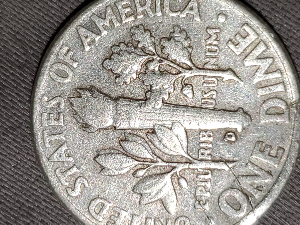 Roosevelt-Mint-Mark-Error?