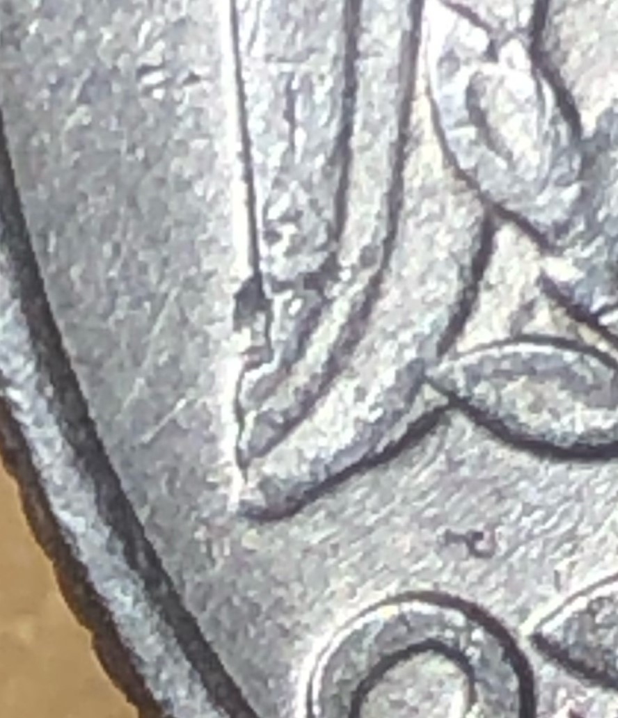 1989-D-Quarter-Left-Wing-Different?