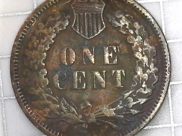Never-Thought-I-Would-Fine-One-And-Especially-Not-2!-1901-IHC