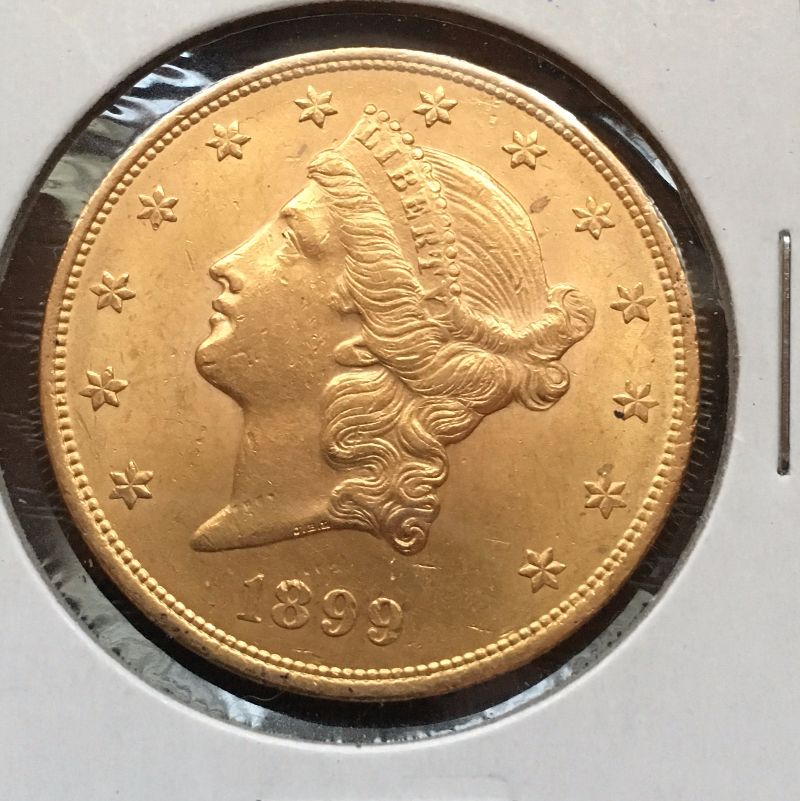 Collector-With-Some-Shiny-Coins