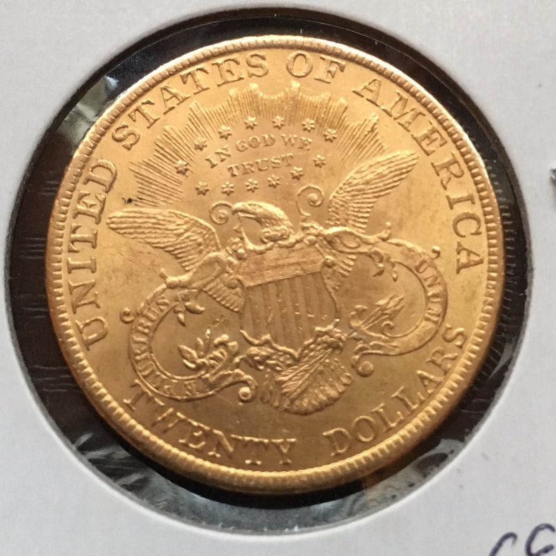 Collector-With-Some-Shiny-Coins