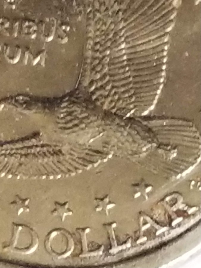 Small-Dollar-Roll-Searching
