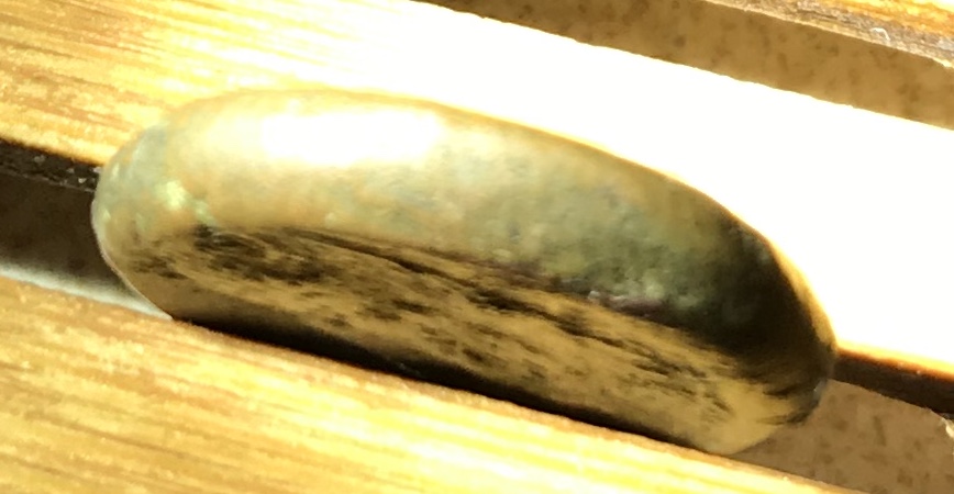Need-Help-With-Ancient--Coin-ID
