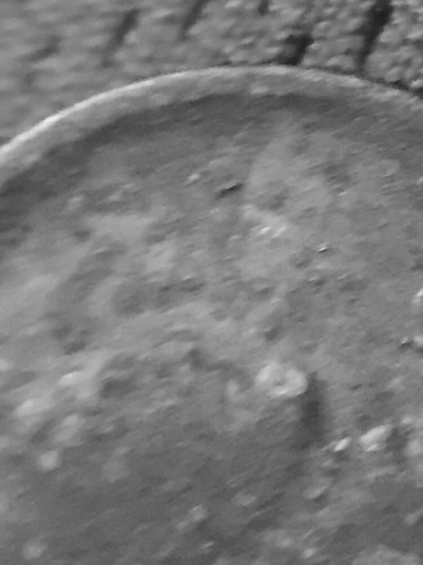 1917-D-Wheat-Cent-Is-This-Environmental-Damage?