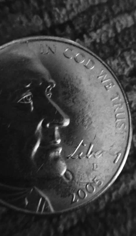 2005-D-Bison-Nickel..�0�-Under-The-Chin.-Take-A-Look!!