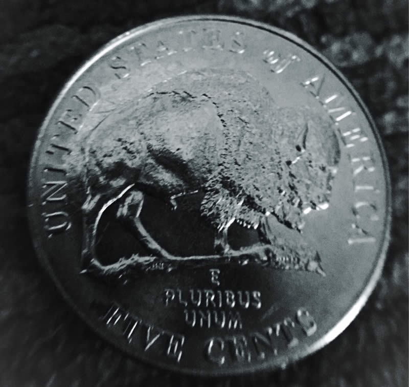 2005-D-Bison-Nickel..�0�-Under-The-Chin.-Take-A-Look!!