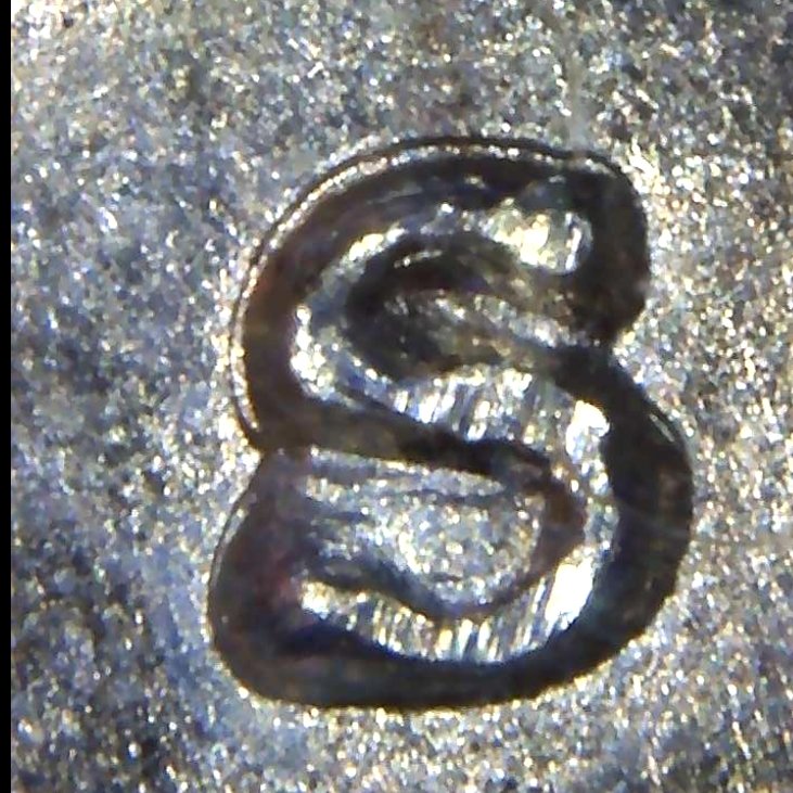 1971-S/S-Eisenhower-RPM?