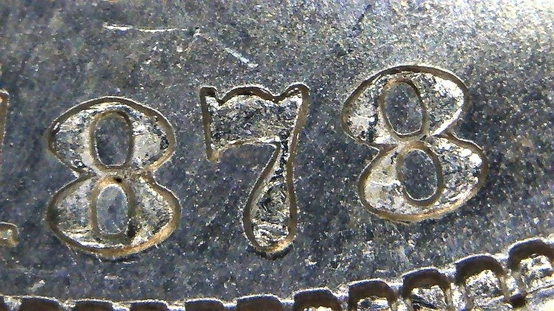 1878-S-Morgan-VAM-Questions