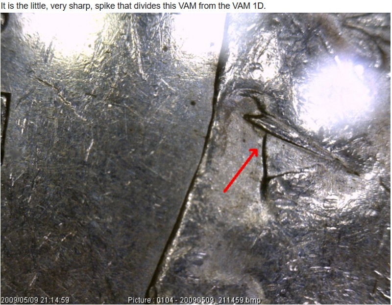 1878-S-Morgan-VAM-Questions