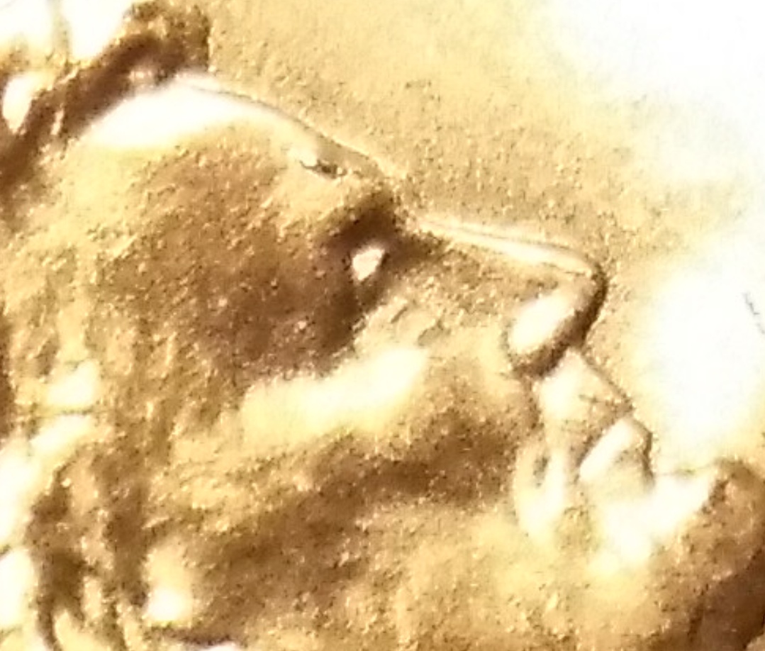 2018-P-Shield-With-Multiple-Issues-Obverse-And-Reverse.