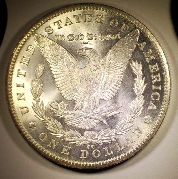 1884-CC-Morgan-Dollar-For-Grading