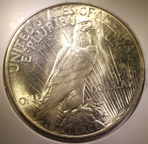 1923-Peace-Dollar-For-Grading-Opinions