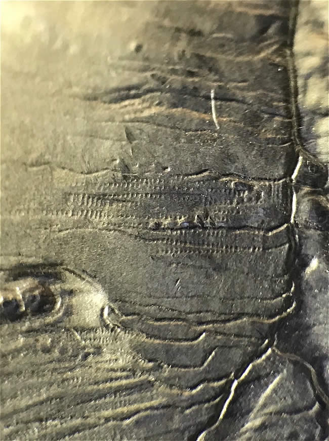 2018-Apostle-Islands-Quarter.-Die-Error?