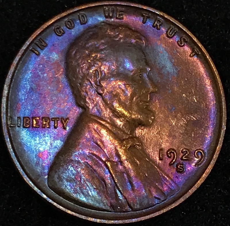 1929-S/S-LWC-FS-501-Crazy-Toned