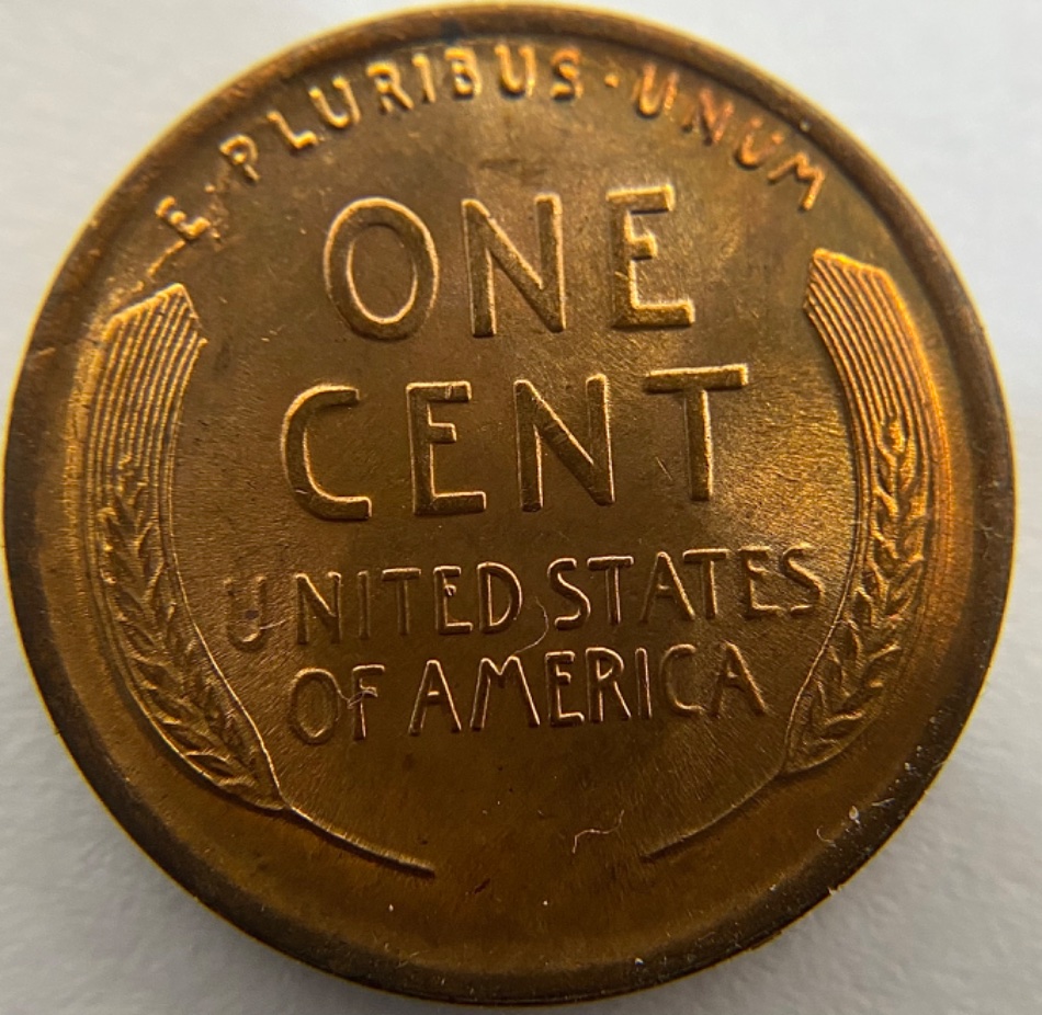 1924-P-LWC-For-Grade
