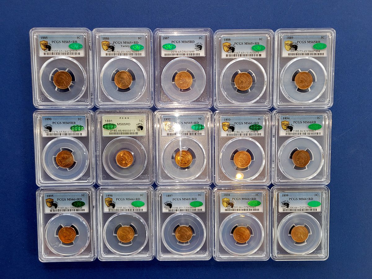 I-Did-It!-My-Unique-Indian-Head-Cent-Set-Warning---Looong-Read