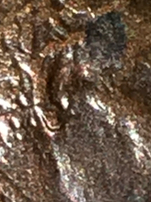 1984-Double-Ear-Penny?--Comments-Expertise-Needed