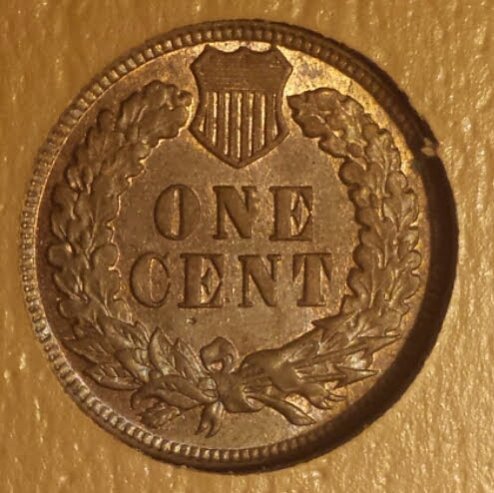 1906-Indian-Head-Cent-For-Grading