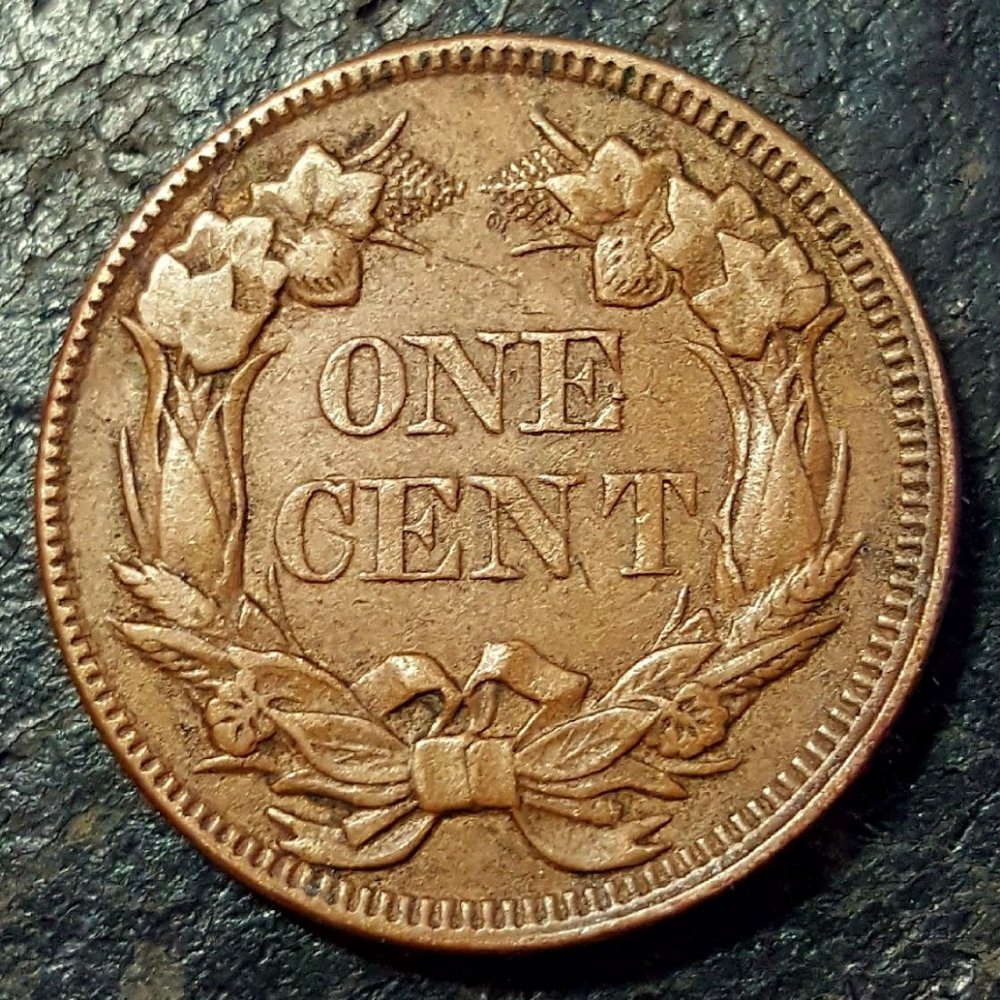 1857-Flying-Eagle-Grading