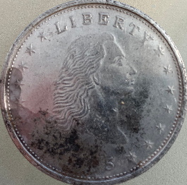 Help!-Flowing-Hair-Coin
