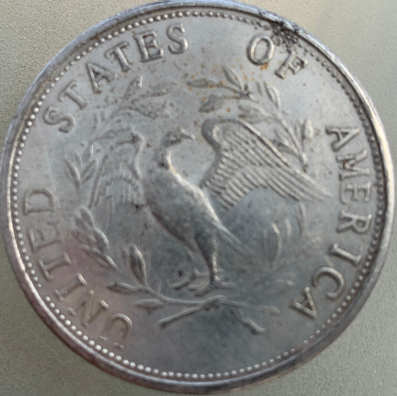 Help!-Flowing-Hair-Coin