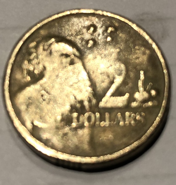 Can-Anybody-Tell-Me-What's-Happened-To-This-Coin?