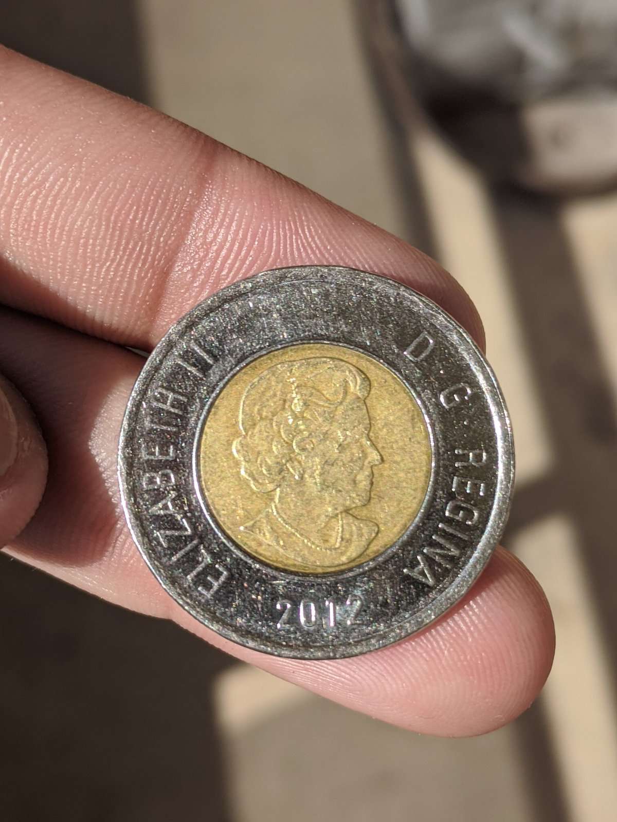 2012-Toonies,-Error-Or-Fake?