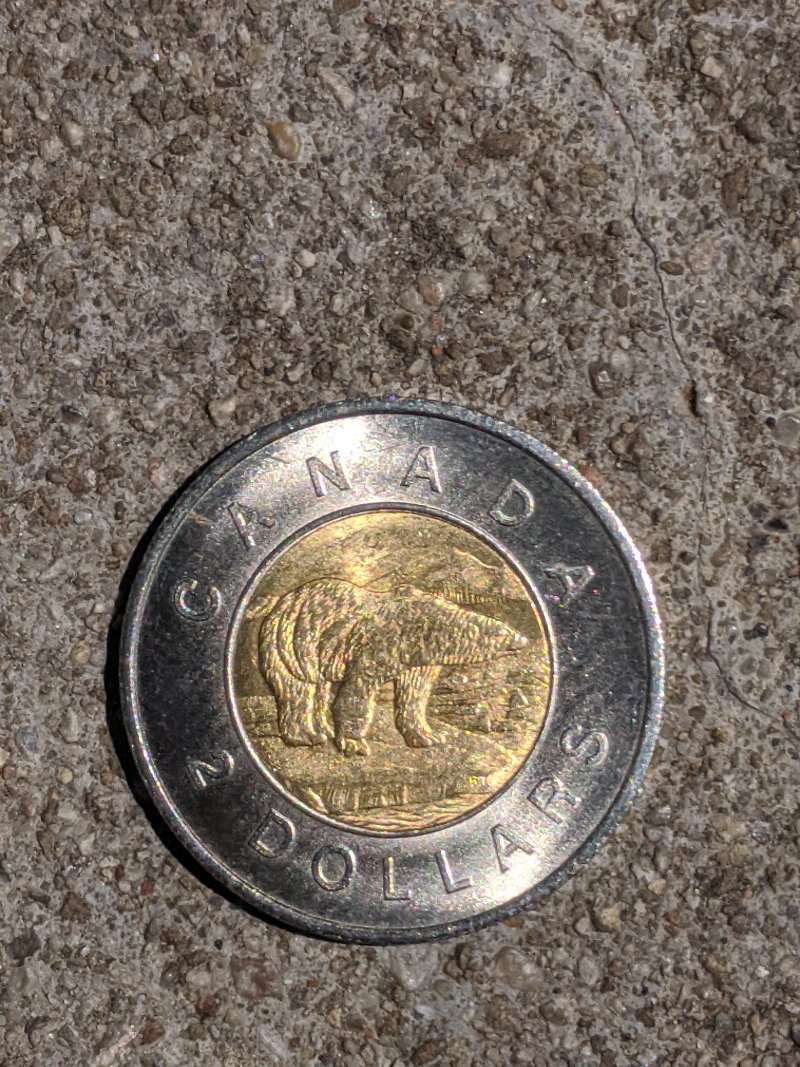 Counterfeit-Toonies?