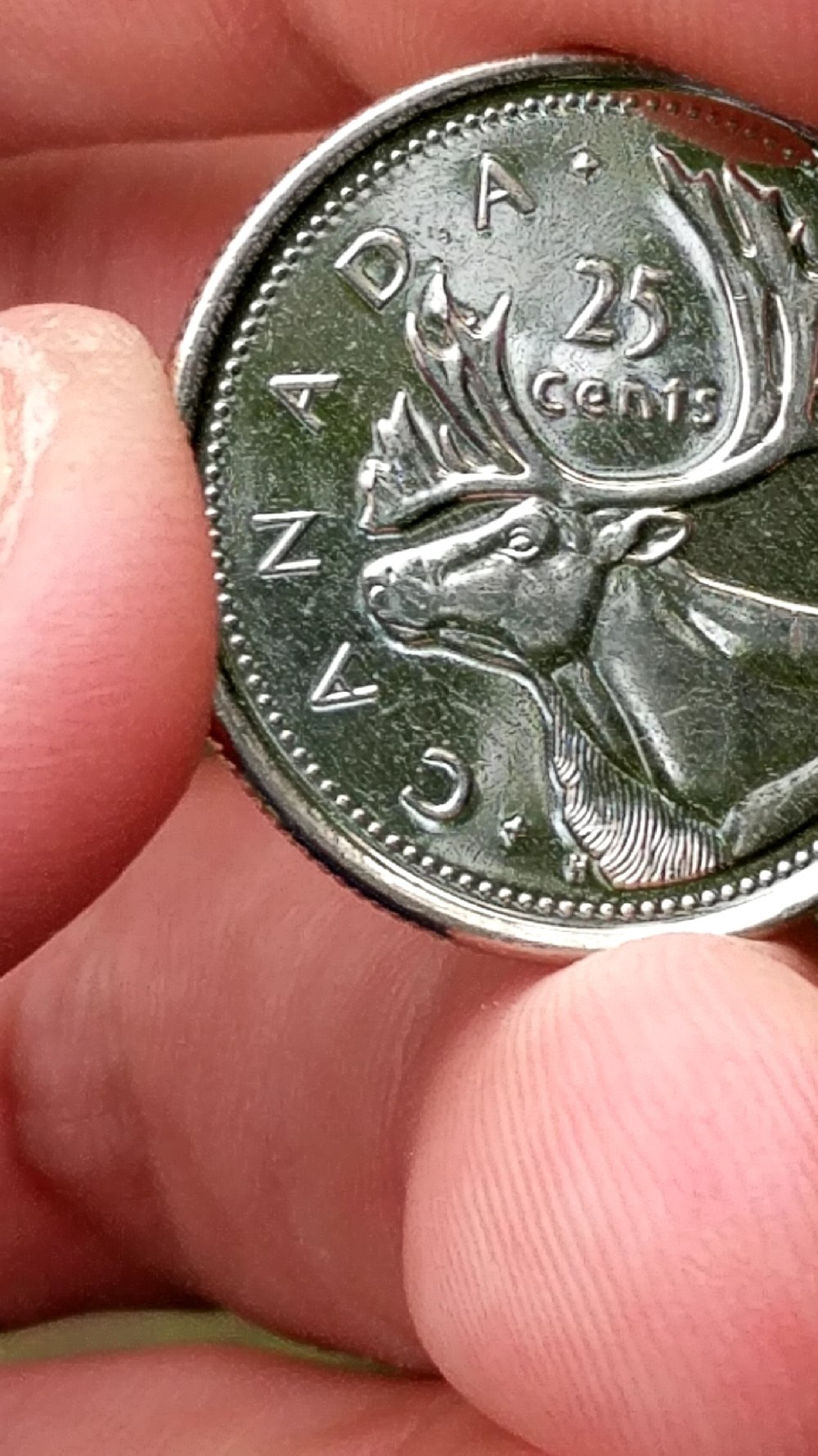 First-2020-Canadian-Quarter-Error-I've-Found