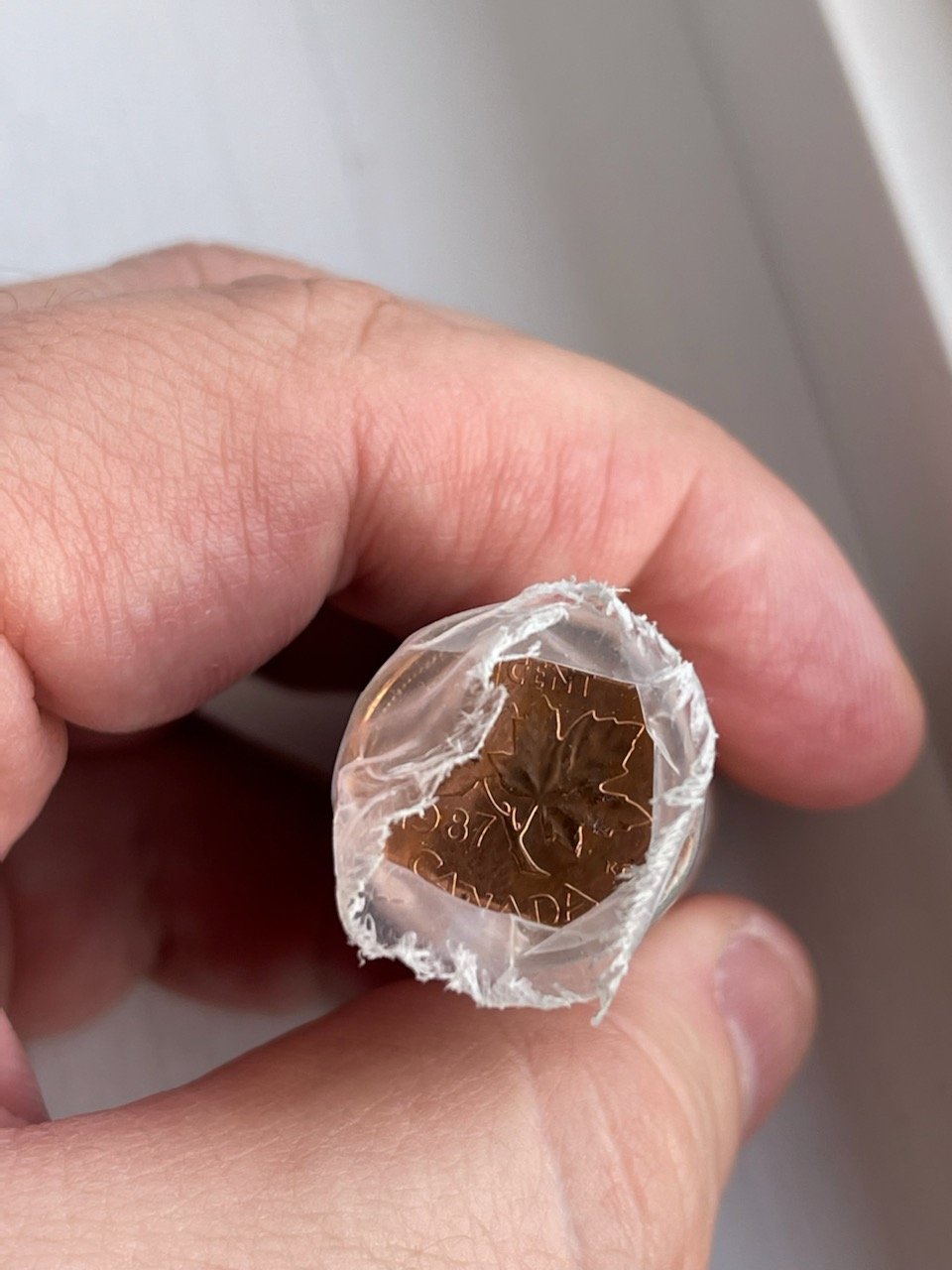 My-Friends-At-The-Bank-Is-Curious-What-This-1987-Penny-Roll-Is-Worth