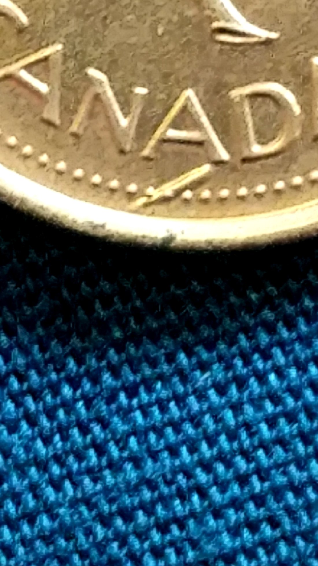 Is-This-A-Long-Die-Chip?-Or-Would-It-Be-A-Cud?