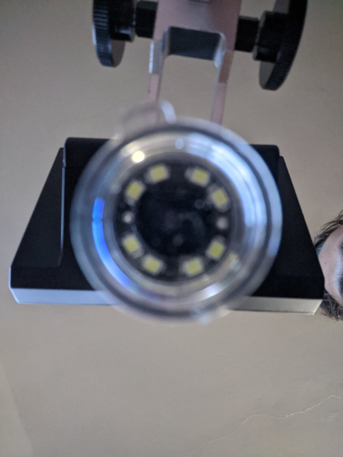 My-New-Microscope.-It's-Time-For-Less-Questions-And-Better-Photos: