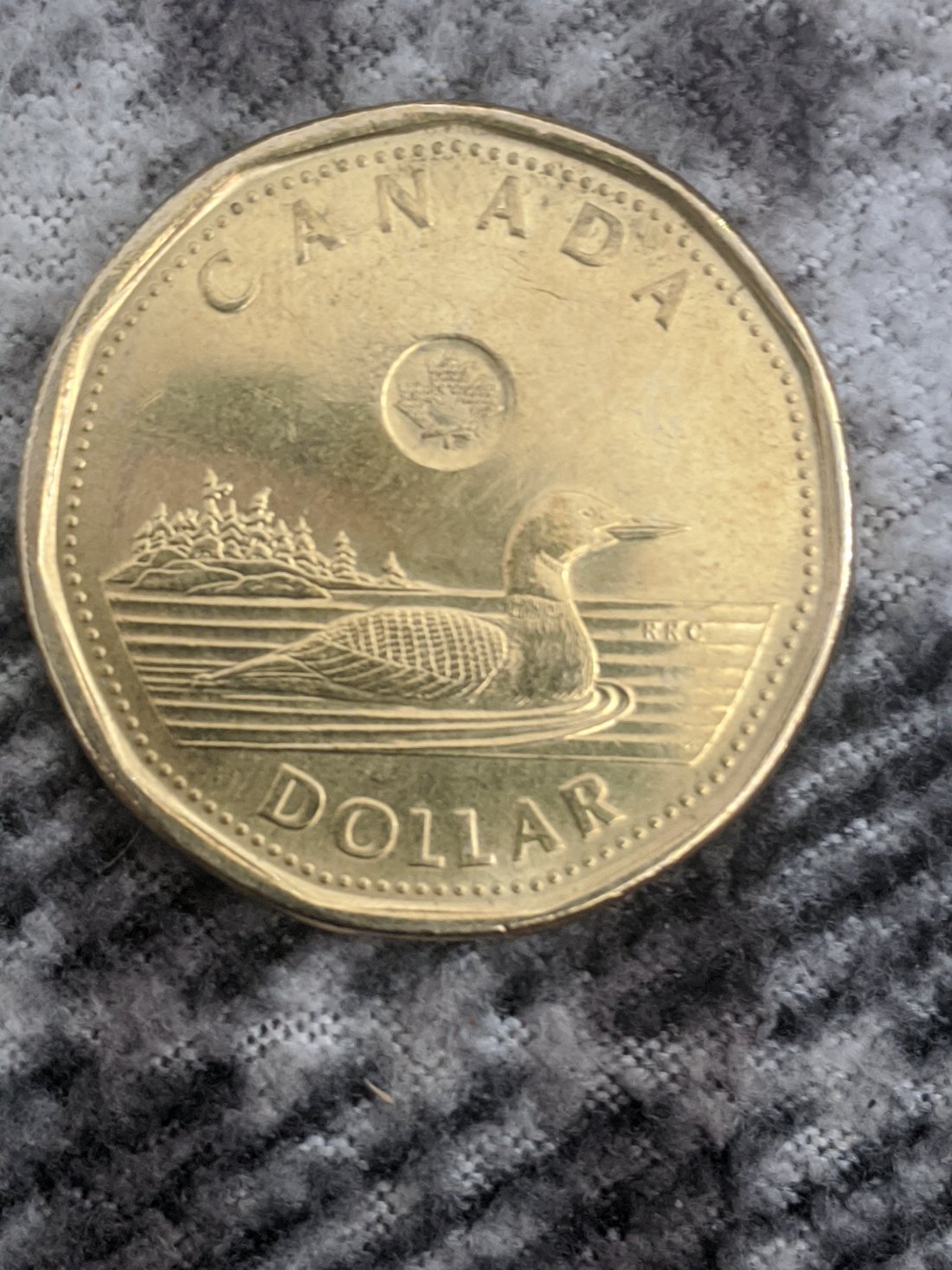 2021-Loonie-Decent-Size-Die-Crack-For-A-Modern-Canadian-Coin.